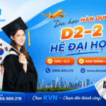 Du học Hàn Quốc hệ đại học (Visa D2-2)