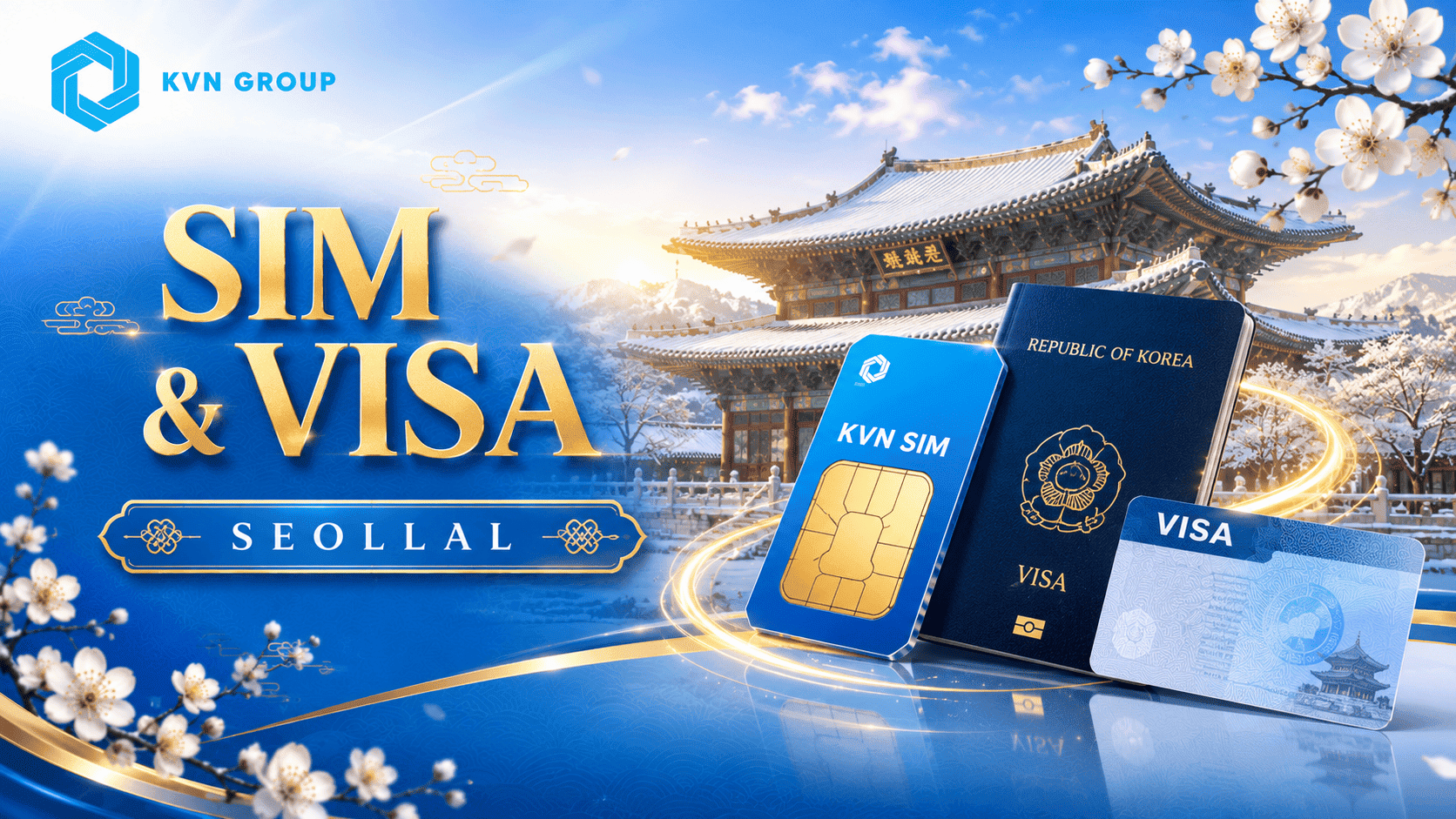 Sim và Visa